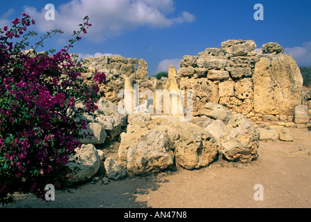 Ggantija (Riese) neolithischen / megalithischen Tempel auf Gozo, Malta Stockfoto