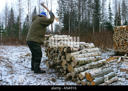 Älterer Mann hackt und stapelt Brennholz auf Holzhaufen, Finnland Stockfoto