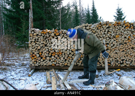 Ältere Menschen häufen Bestand von Brennholz, Finnland Stockfoto