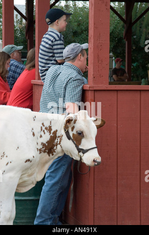 4H Livestock Show in Dutchess County Fair in Rhinebeck NY Stockfoto