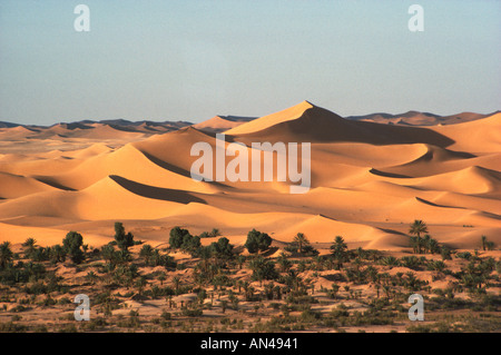 Sanddünen und Palm Tree Oase Sahara Wüste Algerien in Nordafrika Stockfoto