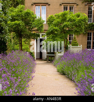 Holker Hall, Cumbria, Lavendel Gartenweg Stockfoto