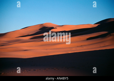 Marokko Sanddünen an Merzouga Erg südlich von Erfoud am Nordrand der Sahara-Wüste bei Sonnenuntergang Stockfoto