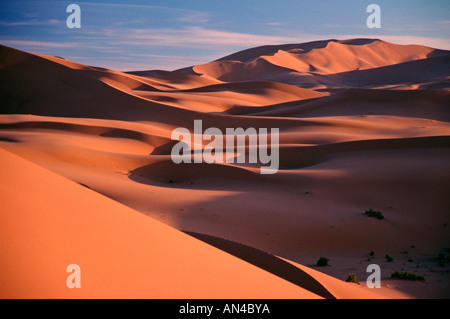 Marokko Sanddünen an Merzouga Erg südlich von Erfoud am Nordrand der Sahara-Wüste bei Sonnenuntergang Stockfoto