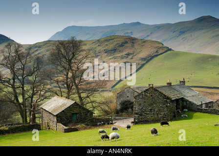 Haus Hof und den Fjälls Martindale im englischen Lake District Stockfoto