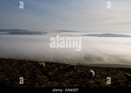 Blick über einen nebligen Ape Dale und Corve Dale in South Shropshire in Richtung Titterstone Clee Hill Stockfoto