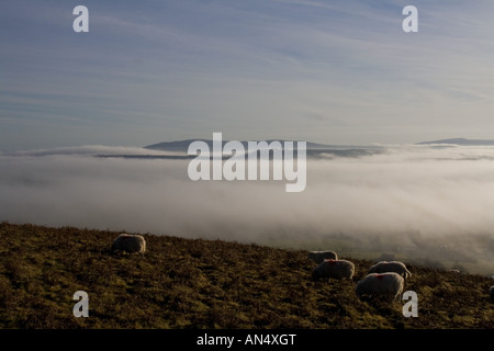 Niedrige Nebel in Ape Dale und Corve Dale in South Shropshire Stockfoto