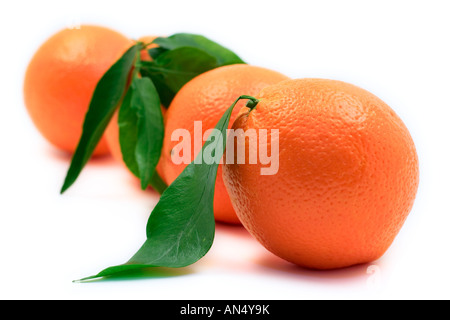 Orangen aufgereiht Stockfoto