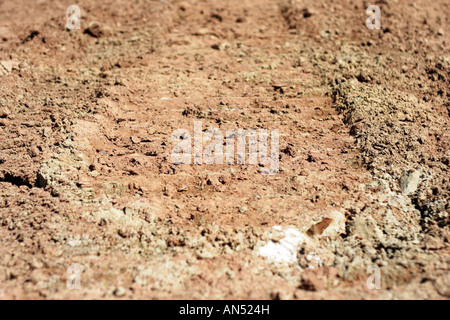 Erdgeschoss-Blick auf die Spuren einer Planierraupe im Boden Stockfoto