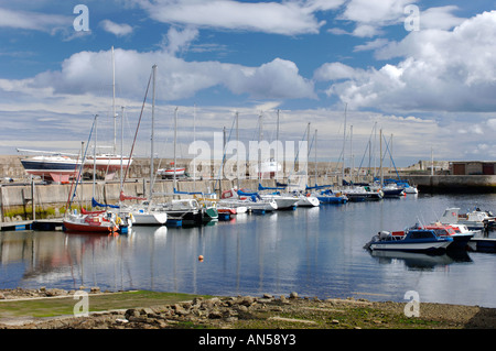 Lossiemouth Hafen von Fischen und Vergnügen Boote geteilt. Morayshire. Schottland.  XPL 3221-321 Stockfoto