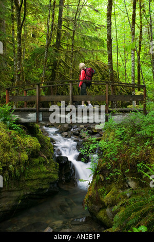 Wanderer, die Überquerung eines Baches Stockfoto