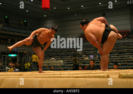 Zwei Sumo-Ringer heben Sie ihre Beine im traditionellen Pre Kampf Ritual bei der Spring-Sumo-Turnier in Osaka Japan Stockfoto