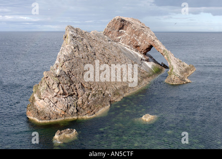 Beugen Sie Geige Rock, Portknockie, North East Aberdeenshire, Grampian. Schottland.  XPL 3257-323 Stockfoto