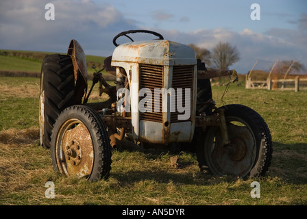 Alten Ferguson-Traktor in einem Feld von Somerset mit Hof im Hintergrund Stockfoto