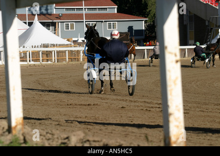 Trabrennen in Calgary, Alberta, Kanada Stockfoto