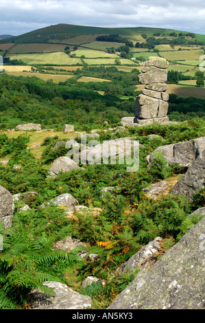 Blick über Bowermans Nase an Hayne hinunter auf Dartmoor South Devon Stockfoto