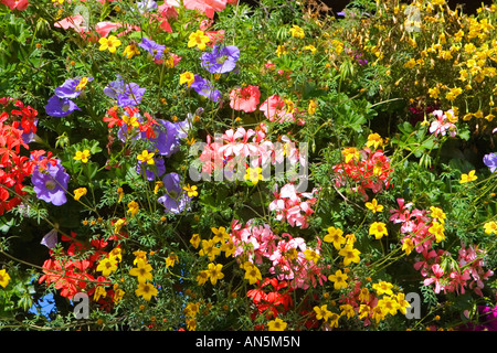 Garten mit Blumen, Sommerzeit in Chamonix, Frankreich Stockfoto