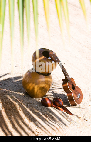 Ipu Heke und Ukulele Hawaiian Musikinstrumente und Palm tree Schatten. Indien Stockfoto