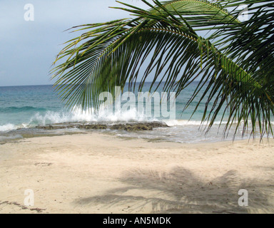 Palme Wedel Frame Wellen in einer Felsformation an einem Tag blauer Himmel an einem Strand in der Karibik St. Croix, Amerikanische Jungferninseln Stockfoto