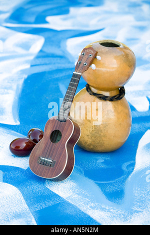 Ipu Heke Ukulele Hawaiian Musikinstrumente auf blue Dolphin Hotel Malerei. Indien Stockfoto