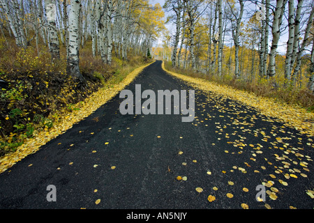 Alpine Schleife fahren im Herbst Stockfoto