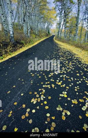 Alpine Schleife fahren im Herbst Stockfoto