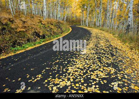 Alpine Schleife fahren im Herbst Stockfoto