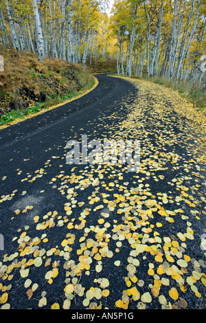 Alpine Schleife fahren im Herbst Stockfoto