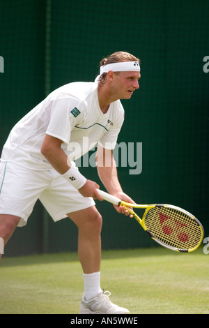 David Nalbandian Stockfoto