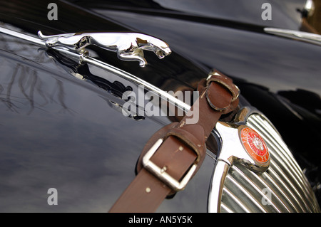 Classic Jaguar XK 150 Sportwagen 1957 Stockfoto