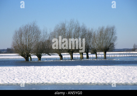 Niederlande Holland Winter Schnee Eis in der Nähe von Arnheim Stockfoto