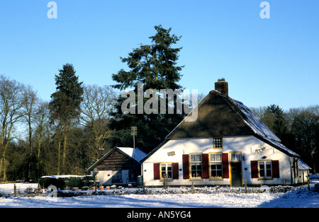 Niederlande-Winter-Schnee-Eis in der Nähe von Arnheim Stockfoto