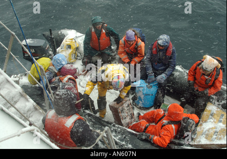 Touristen, die Antarktis abstoßen in einem Schlauchboot, Teufel-Insel in der Weddell-See zu besuchen Stockfoto