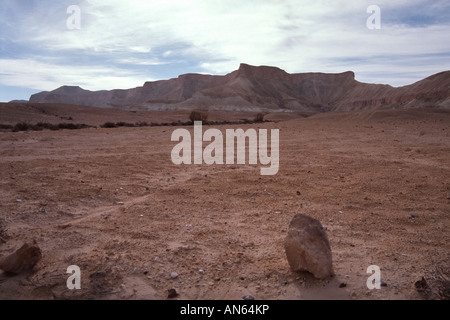 Israel, Winterlandschaft in der Negev-Wüste, in der Nähe von Kibbuz Sde Boker, die Heimat des verstorbenen israelischen Führer Gurion Stockfoto