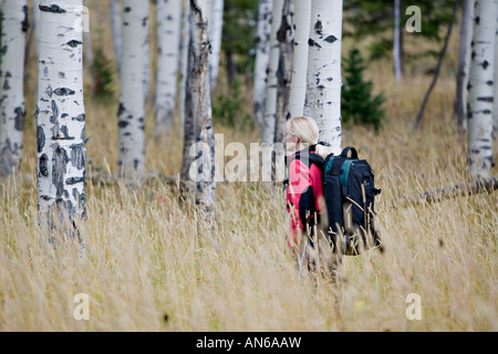 Frau Wanderer im Yellowstone-Nationalpark Espe Herbstwald Stockfoto