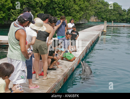 Asiatische Touristen zu sehen, wie Trainer mit Delphin Delphine Pacific arbeitet Stockfoto