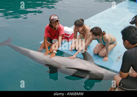 Trainer arbeiten mit Delfine Delphine Pacific. Hier hat Trainer japanische Besucher Haustier Dolphin Magen Stockfoto