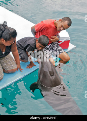 Trainer arbeiten mit Delfine Delphine Pacific. Hier hat Trainer Delphin Palauan junge küssen Stockfoto