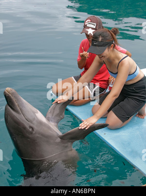 Trainer arbeiten mit Delfine Delphine Pacific. Hier hat Trainer japanische Besucher, die Hände schütteln mit Delphin Stockfoto