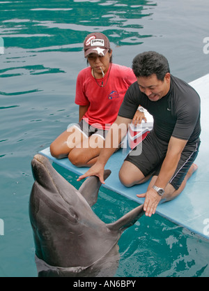 Trainer arbeiten mit Delfine Delphine Pacific. Hier hat Trainer japanische Besucher, die Hände schütteln mit Delphin Stockfoto