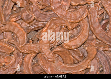 Johannisbrot-Bohnen Stockfoto