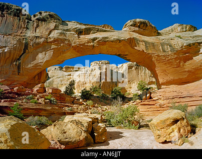 Hickman Natural Bridge im Capitol Reef National park Stockfoto