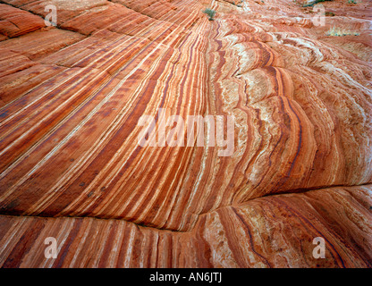 Gestreifte Rote Gesteinsschichten Im Grand Treppe Escalante National Monument gestreiften roten Felsformation Stockfoto