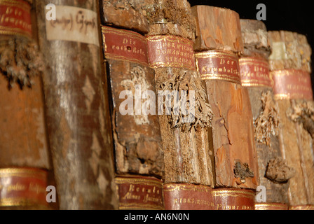 Alte Bücher angezeigt am Kloster Strahov eine Prämonstratenser-Abtei gegründet 1143 in Hradschin Bezirk Prag Tschechische Republik Stockfoto