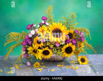 Studio arrangiert gelben Blumenstrauß Blumenstrauß aus Sonnenblumen im Korb auf einem grünen Pastelltönen Hintergrund Stockfoto