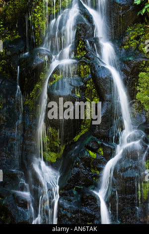 Nahaufnahme des fließenden Wassers über grünes Moos Stockfoto