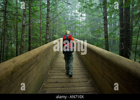 Frau Wanderer auf einer Brücke in einen California coastal Redwood-Wald Stockfoto