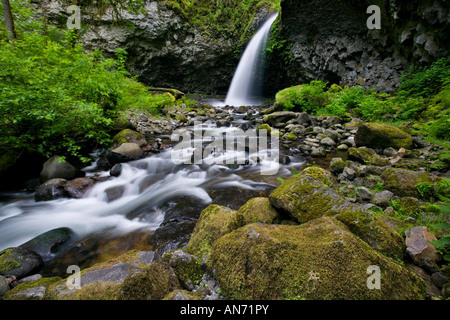 Oberen Oneonta verliebt sich in Columbia River Gorge Stockfoto