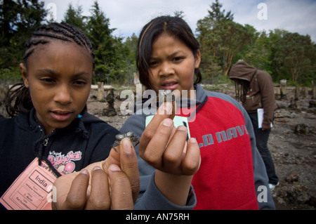 100 4. und 5. Klässler von John Muir Elementary School verbringen Sie 4 Tage im Freien und ökologische Aktivitäten. Stockfoto