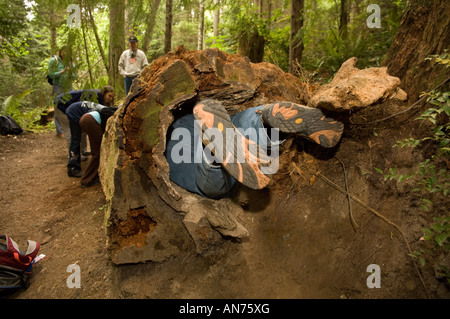 100 4. und 5. Klässler von John Muir Elementary School verbringen Sie 4 Tage im Freien und ökologische Aktivitäten. Stockfoto